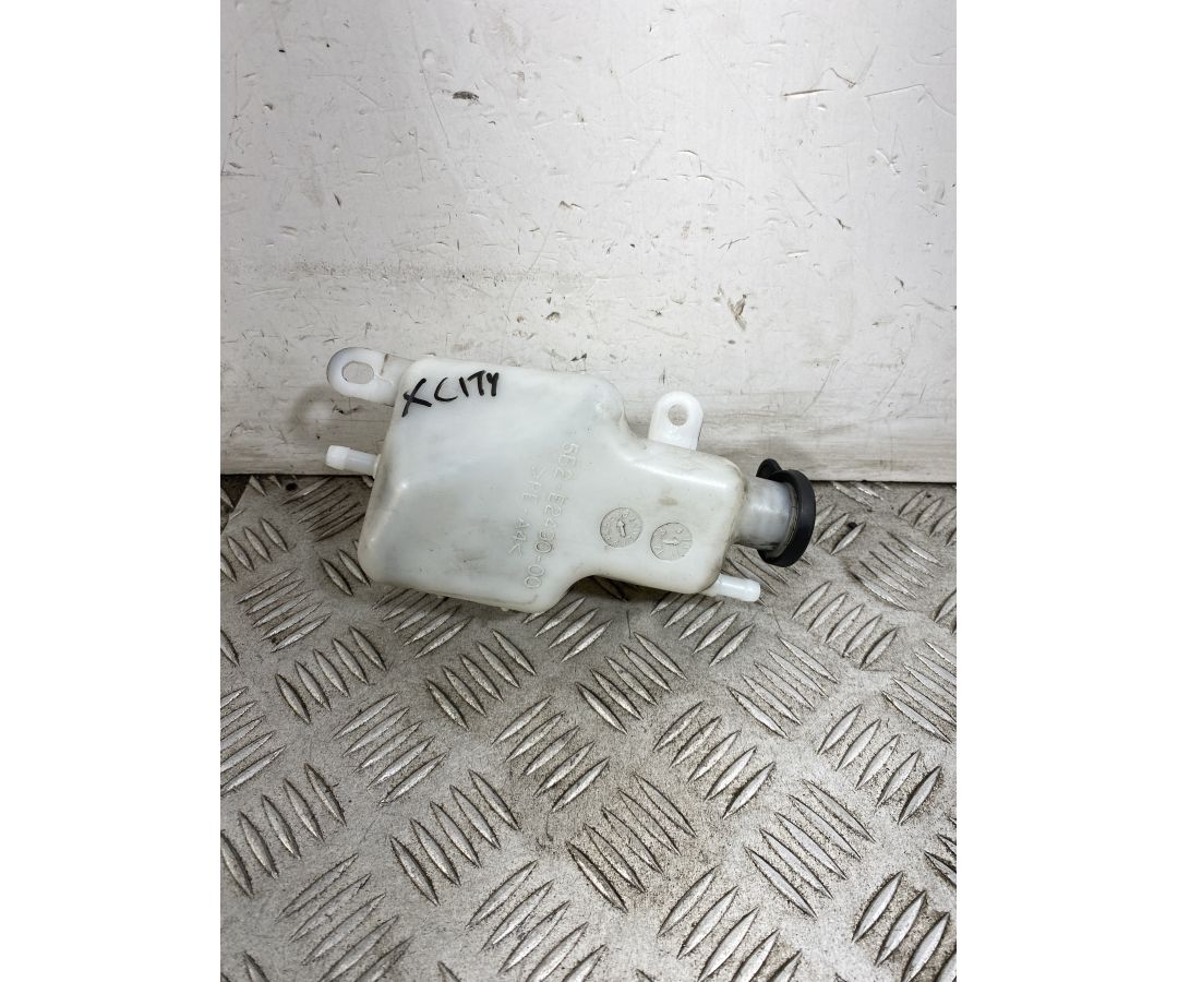 Vaschetta Acqua Yamaha X-City Xcity 250 dal 2006 al 2016 1749217113804 Vaschetta Acqua Yamaha X-City Xcity 250 dal 2006 al 2016 1749217113804