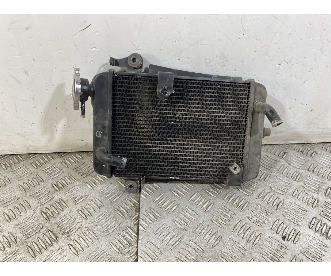 Radiatore Honda SH 300 Dal 2011 al 2013 1749221671055 Radiatore Honda SH 300 Dal 2011 al 2013 1749221671055