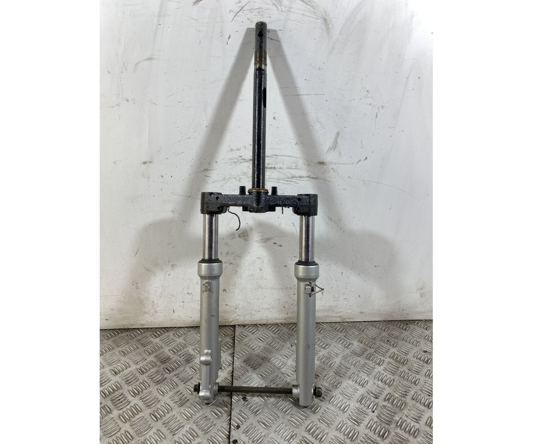 Forcella Hupper Tomcat 50 Dal 2009 al 2015 1749655164482 Forcella Hupper Tomcat 50 Dal 2009 al 2015 1749655164482