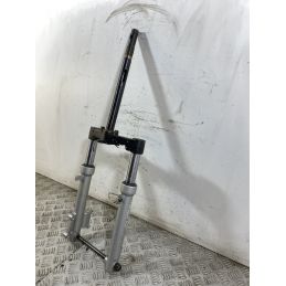 Forcella Hupper Tomcat 50 Dal 2009 al 2015  1749655164482