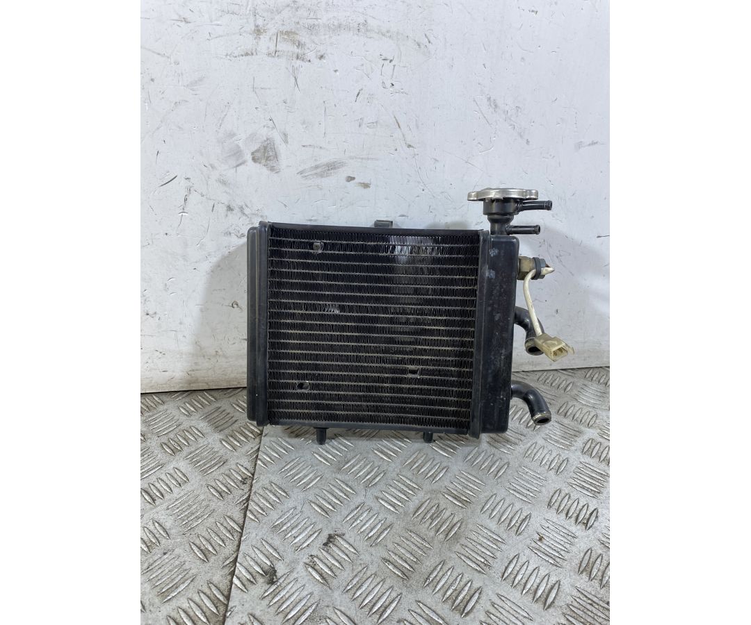 Radiatore Aprilia Scarabeo Light 200 dal 2007 al 2013 1750071455597 Radiatore Aprilia Scarabeo Light 200 dal 2007 al 2013 1750071455597