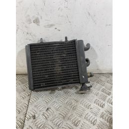Radiatore Aprilia Scarabeo Light 200 dal 2007 al 2013  1750071455597