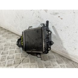 Radiatore Piaggio Medley 125 Del 2020  1750149149366