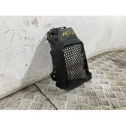 Carena Giglia Radiatore Piaggio Medley 125 Del 2020  1750155475855