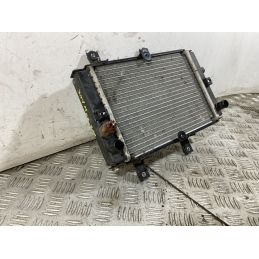 Radiatore Sym Joymax 300 Dal 2012 al 2018  1750258773759
