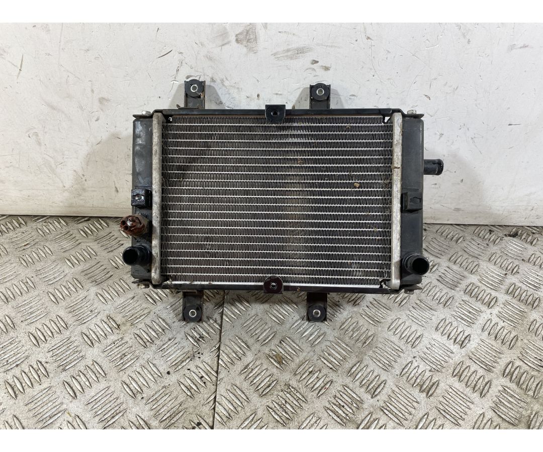 Radiatore Sym Joymax 300 Dal 2012 al 2018 1750258773759 Radiatore Sym Joymax 300 Dal 2012 al 2018 1750258773759