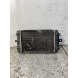 Radiatore Adiva AD 3 300 Del 2020  1750340960838