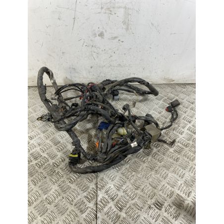 Cablaggio Impianto Elettrico Honda SH 300 dal 2011 al 2013  1750407625700