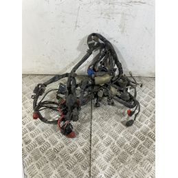 Cablaggio Impianto Elettrico Honda SH 300 dal 2011 al 2013  1750407625700