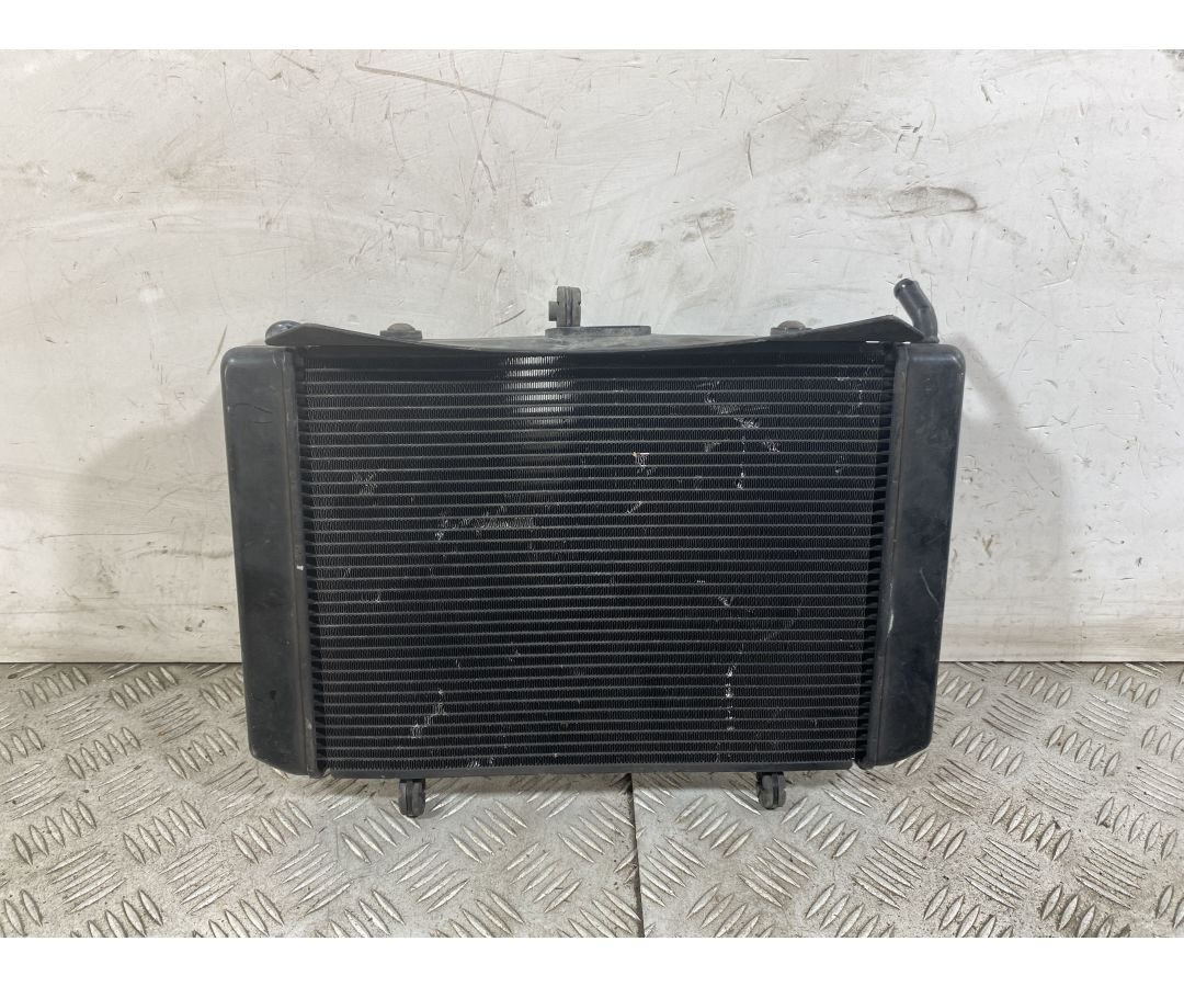 Radiatore Suzuki GSR 600 dal 2006 al 2011 1751012514014 Radiatore Suzuki GSR 600 dal 2006 al 2011 1751012514014