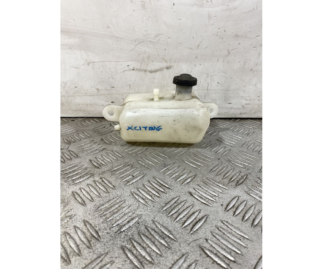 Vaschetta Acqua Kymco Xciting 300 R dal 2007 al 2014 1751016373082 Vaschetta Acqua Kymco Xciting 300 R dal 2007 al 2014 1751016373082
