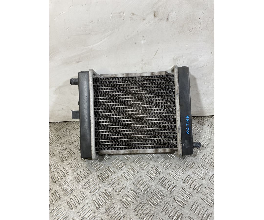 Radiatore Kymco Xciting 300 R dal 2007 al 2014 1751016729070 Radiatore Kymco Xciting 300 R dal 2007 al 2014 1751016729070