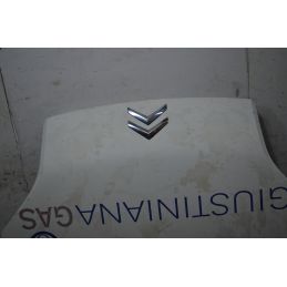 Cofano Anteriore Citroen Nemo Dal 2008 al 2013 Cod 7901Q1  1751355386637