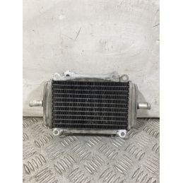 Radiatore Destro DX Piaggio Vespa GT 200 L Dal 2003 al 2006  1751362020654