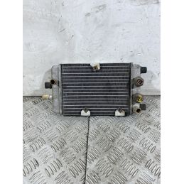 Radiatore Yamaha XC 300 Dal 2003 al 2006  1751383375207