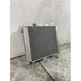 Radiatore Aprilia Scarabeo 250 dal 2006 al 2012  1752068439436