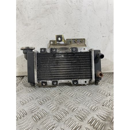 Radiatore SYM HD2 200 Dal 2010 Al 2017  1752139476704