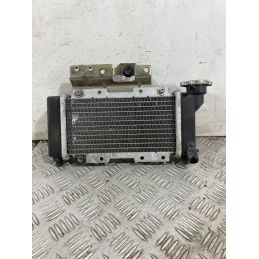 Radiatore SYM HD2 200 Dal 2010 Al 2017  1752139476704