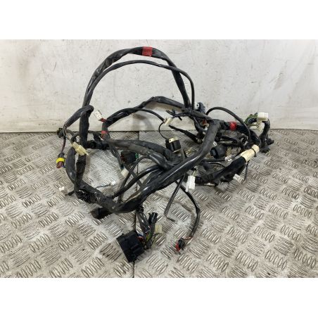Cablaggio Impianto Elettrico Aprilia Scarabeo 500 dal 2007 al 2012  1752486862748