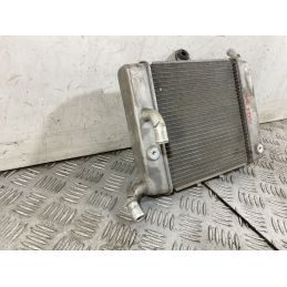 Radiatore Honda Forza 300 Dal 2013 Al 2017  1752574883303