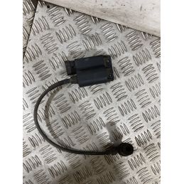 Bobina Centralina Accensione Piaggio Liberty 50 4T dal 2004 al 2016  1753170255327