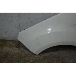Parafango Anteriore SX Ford Ecosport Dal 2014 al 2018 Cod 1793621  1753365006086