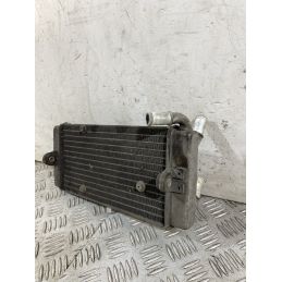 Radiatore Yamaha X-Max XMax 250 IE Dal 2010 al 2013  1754470296317