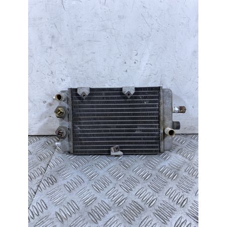 Radiatore Yamaha XC 300 Versity 300 Dal 2003 al 2006  1754470958406
