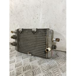 Radiatore Yamaha XC 300 Versity 300 Dal 2003 al 2006  1754470958406