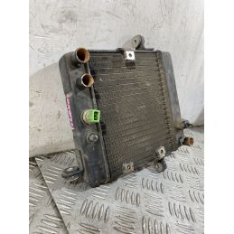 Radiatore Honda Foresight 250 dal 1998 al 2004  1756715916189