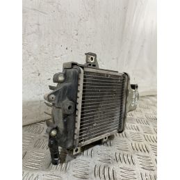Radiatore Honda SH 150 Dal 2009 al 2012  1756826024537