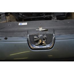 Musata Completa Peugeot 407 Dal 2004 al 2012 Cod 7401RA  1756911224781