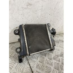 Radiatore Yamaha Xenter 125 / 150 Dal 2011 al 2018  1756992535578