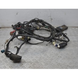 Cablaggio Impianto Elettrico Yamaha FZ6 dal 2004 al 2007  1636986601154