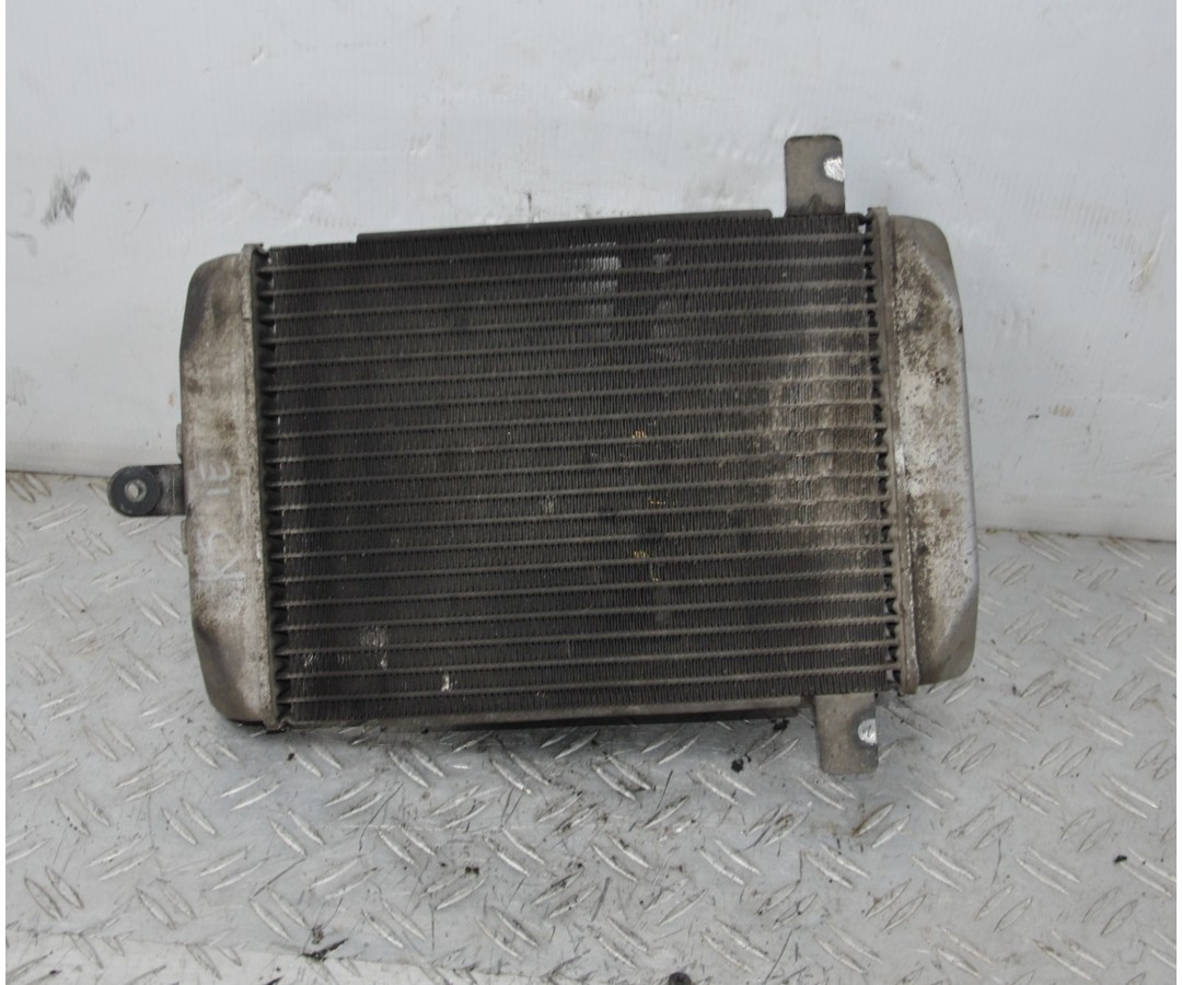 Radiatore + Elettroventola Suzuki Burgman 400 K5 dal 2004 al 2005  1637662419582