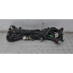 Cablaggio Impianto Elettrico Aprilia Scarabeo Light 125 Dal 2007 al 2012  1637846680425