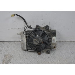 Radiatore + Elettroventola Honda Dylan 125 / 150 Dal 2002 al 2006  1639043187790