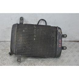 Radiatore + Elettroventola Suzuki Burgman 400 K1 Dal 1999 al 2002  1640856290942