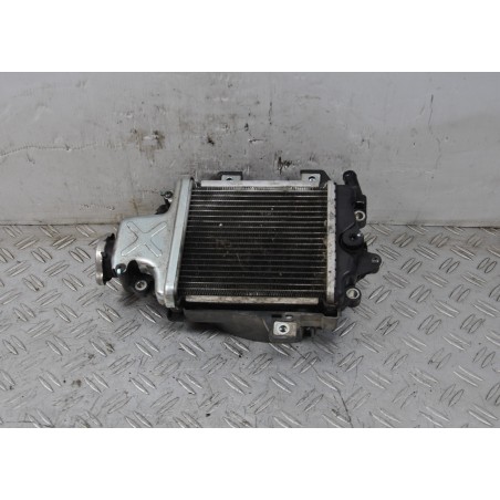 Radiatore Honda PCX 125 Dal 2014 al 2016  1644308973803