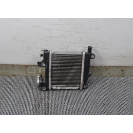 Radiatore Yamaha Tricity 125 dal 2014 al 2020  2400000077800