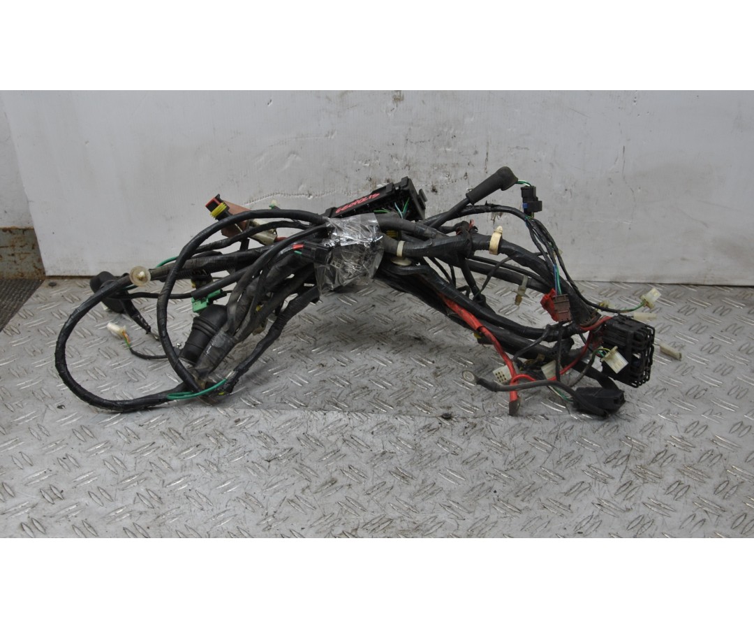 Cablaggio Impianto Elettrico Peugeot Geopolis 250 dal 2005 al 2012  1645028372341