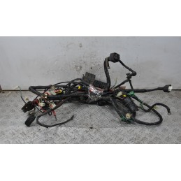 Cablaggio Impianto Elettrico Peugeot Geopolis 250 dal 2005 al 2012  1645028372341