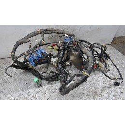 Cablaggio impianto Elettrico Honda Forza 250 Dal 2008 al 2011  1645541768232