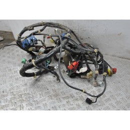 Cablaggio impianto Elettrico Honda Forza 250 Dal 2008 al 2011  1645541768232