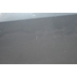 Portiera sportello anteriore SX Fiat Punto Evo Dal 2009 al 2012  1645546914122