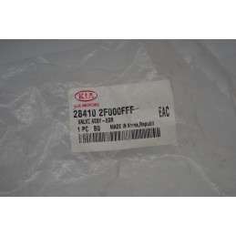 Valvola EGR Hyundai IX35 Dal 2009 al 2015 Cod 284102F000FFF  1646323573297