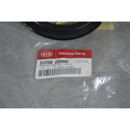 Parapolvere freno a disco anteriore DX Hyundai IX 35 Dal 2009 al 2015 Cod 517562S500  1646402700972