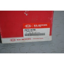 Cinghia dei servizi Kia Sorento Dal 2002 al 2009 Cod 252124A700  1646667355832