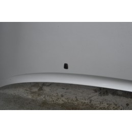 Cofano anteriore Ford escort Dal 1995 al 2000  1647509142504