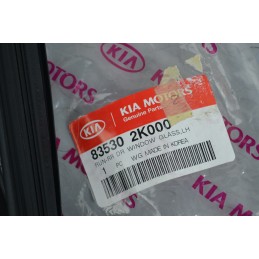 Guarnizione vetro Porta Posteriore SX Kia Soul dal 2008 al 2014 Cod 835302k000  1647879116617